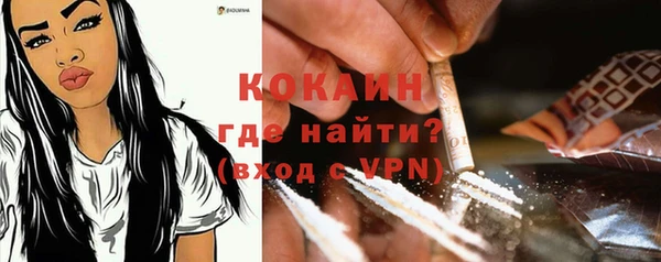 шишки Магадан