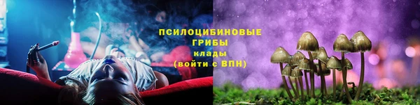 шишки Магадан