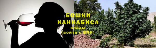 мдпв Майский