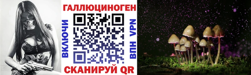 Псилоцибиновые грибы GOLDEN TEACHER Купить закладки Калачинск